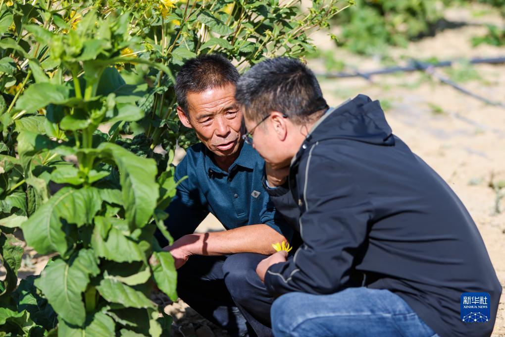 ag账号如何注册